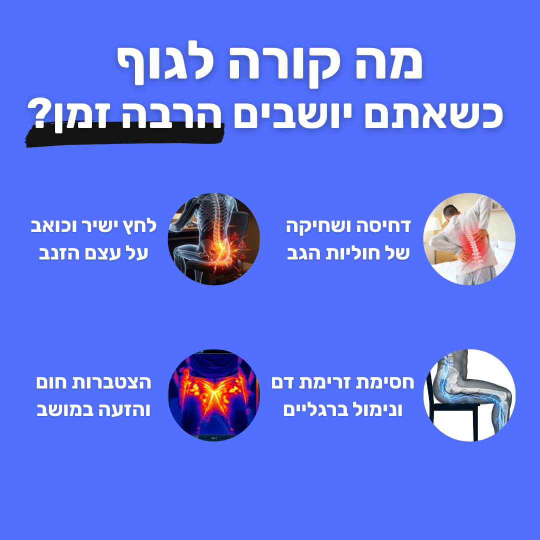 ארגו-ג'ל | כרית ישיבה ארגונומית