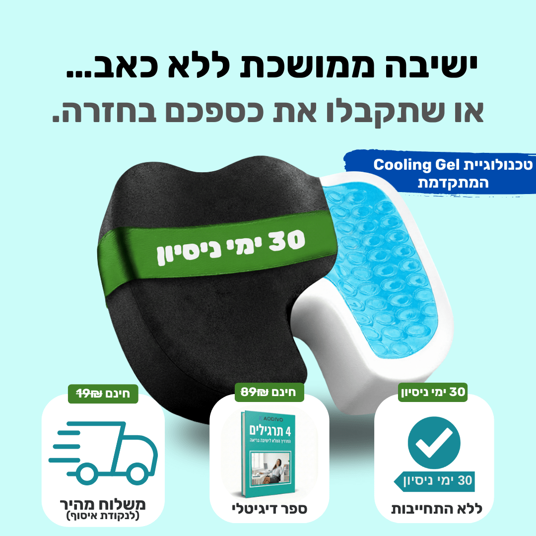 ארגו-ג'ל | כרית ישיבה ארגונומית